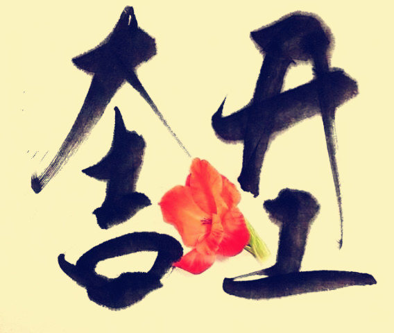 駿業(yè)包裝開工大吉！